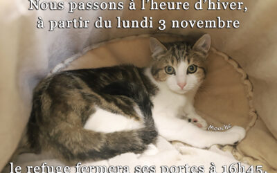 Horaires d’hiver