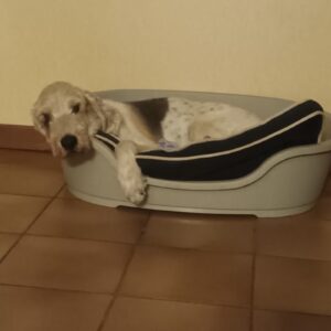 Gabin
