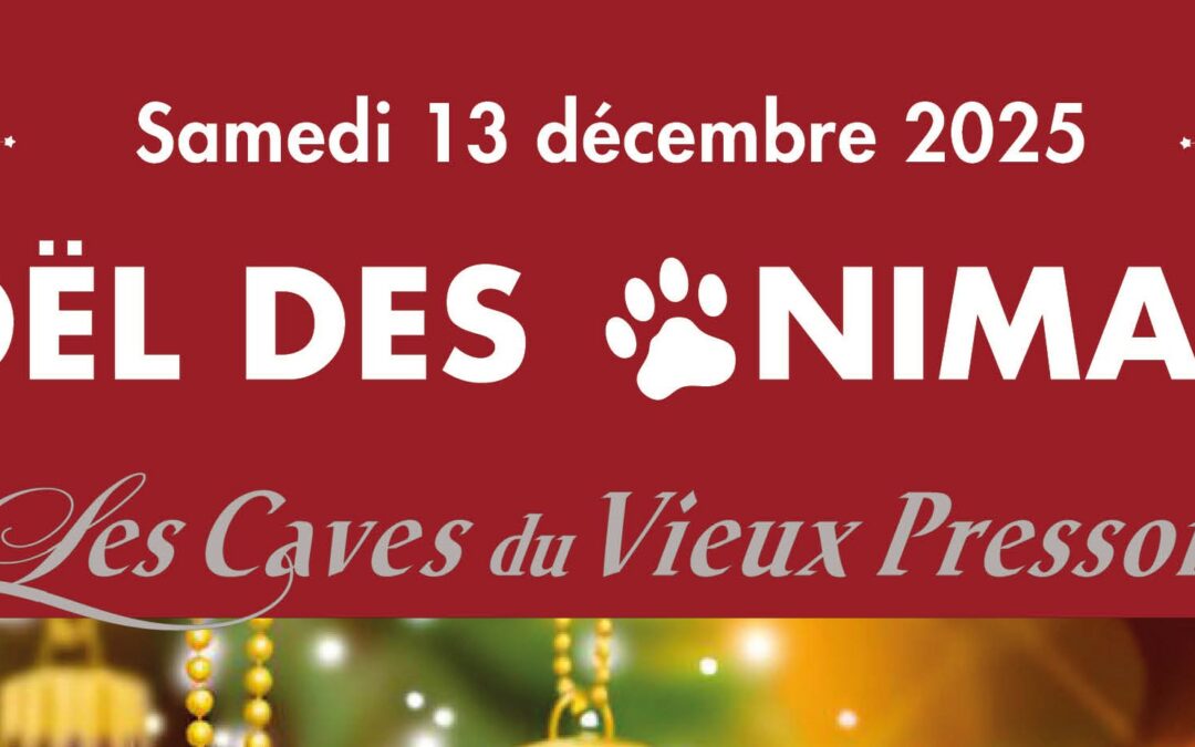 Noël des animaux à Meursault
