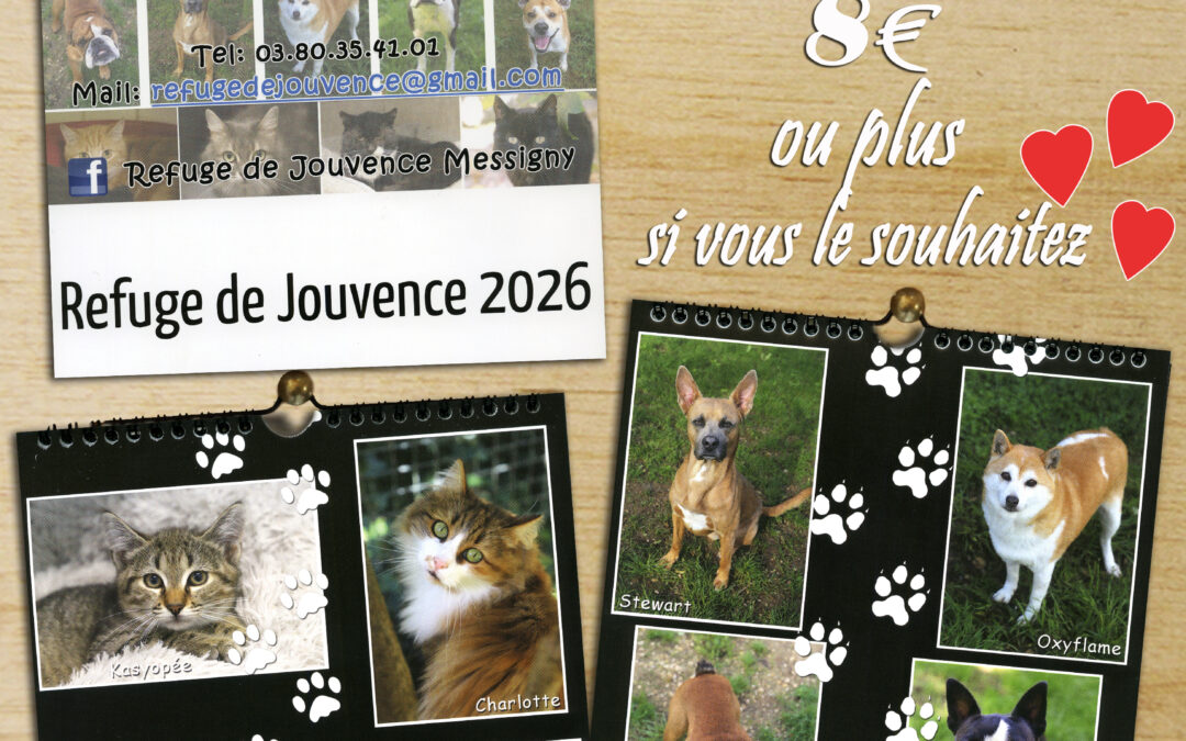 Les calendriers sont arrivés!