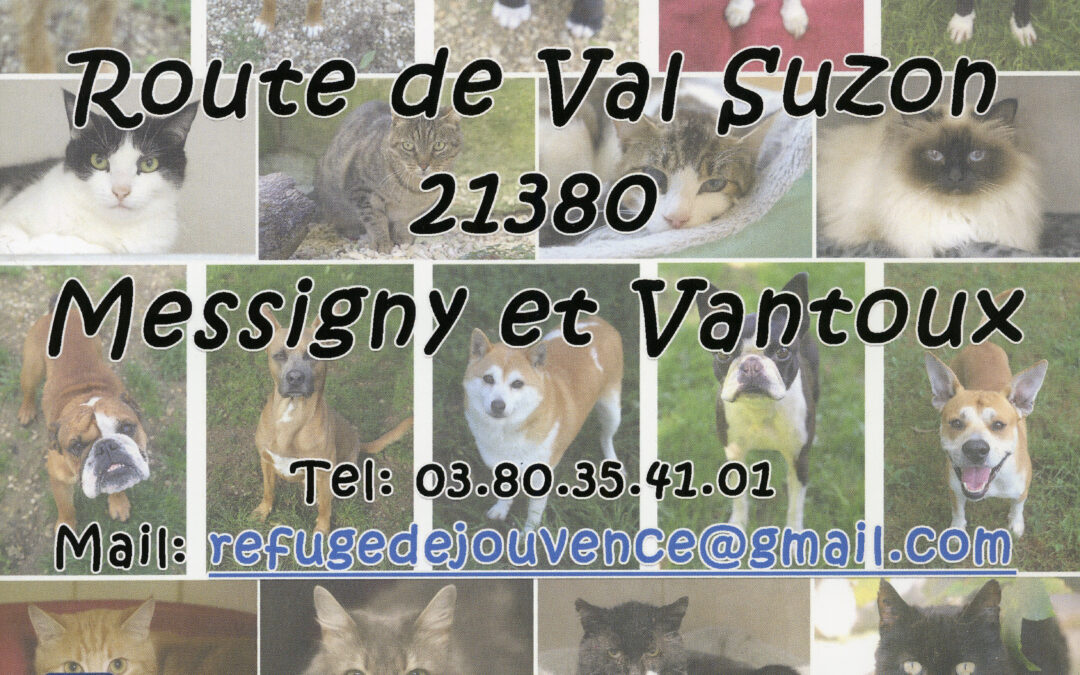 📢Info calendriers📢