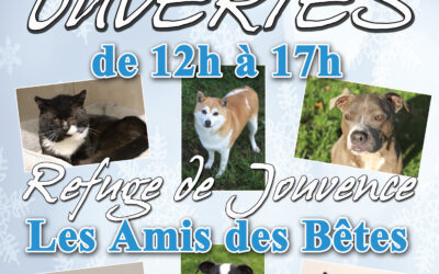 Portes Ouvertes les 6 et 7 décembre 2025