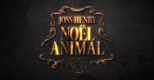 Une chanson de Noël pour soutenir les animaux sans famille 🐶🐱❤️