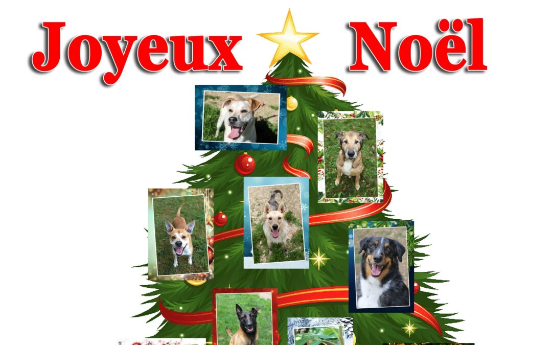 Joyeux Noël