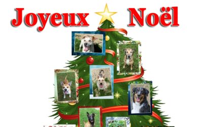 Joyeux Noël