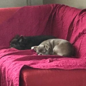 Jo et Jina (ex Chocolat)