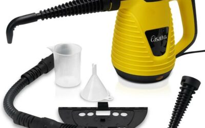 Infos 10 Cherche nettoyeur vapeur