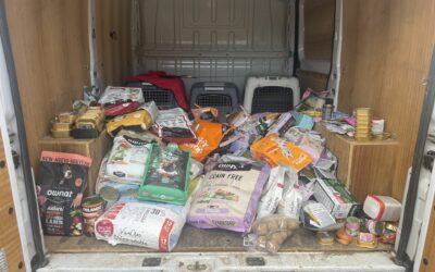 Infos 1 Merci Botanic