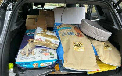 Infos 3 Merci Maxi Zoo