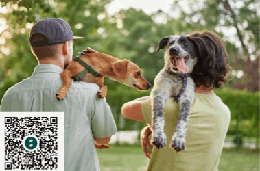 Infos 4 Campanile Toison d’Or nous soutient