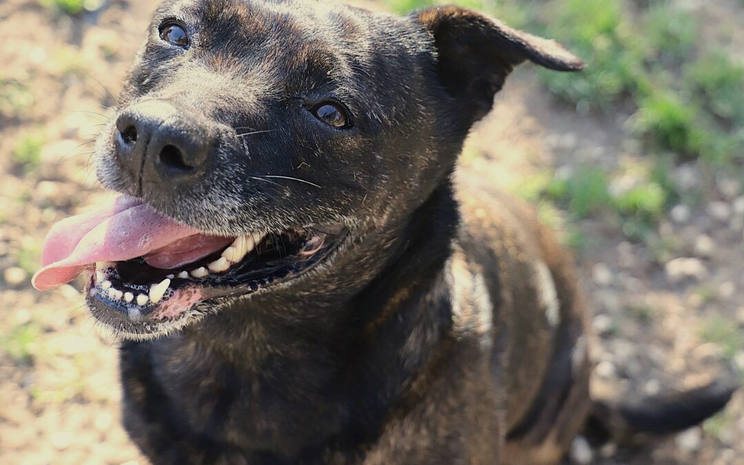Saisie chez des particuliers le 27 janvier 2026