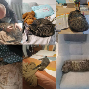 Pop-corn et Chupa Chup's