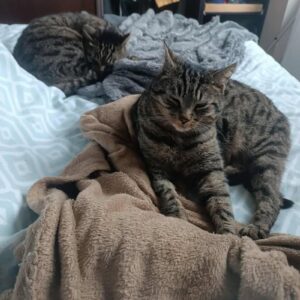 Pop-corn et Chupa Chup's