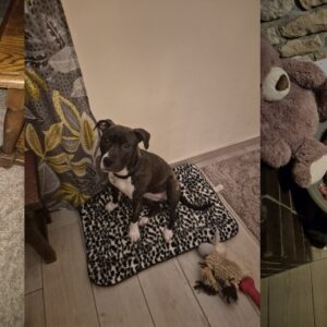 CHAUSSETTE (ex JUNKY)