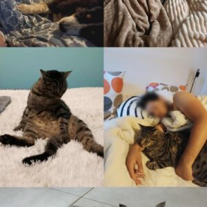 Pop-corn et Chupa Chup's