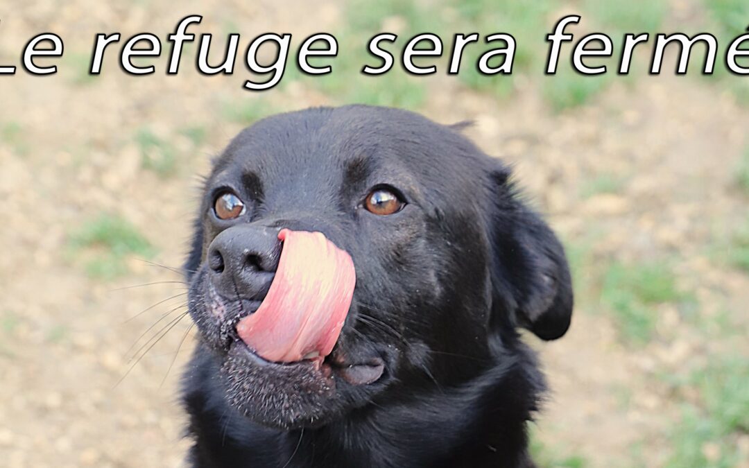 1er mai