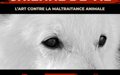 Infos 2 Expo le 5 juin
