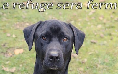 Infos 4 Pentecôte