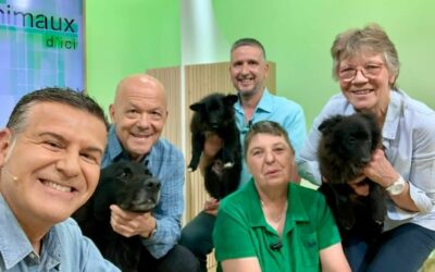 Refuge de Jouvence 11 Les Animaux d’Ici FR3