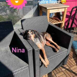 Nina