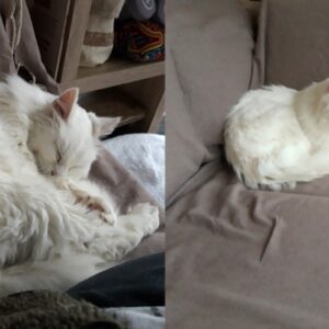 Bijoux