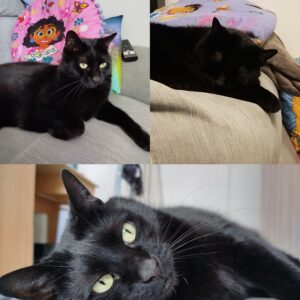 Salem