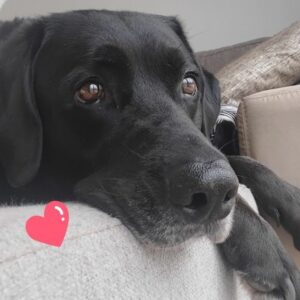 Milka