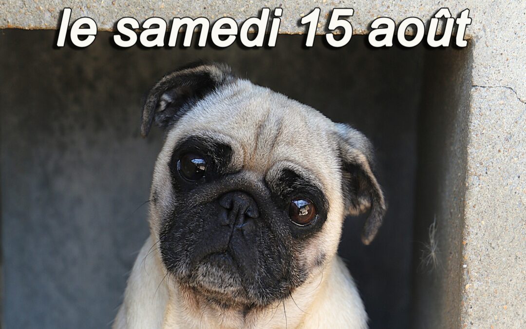 15 août