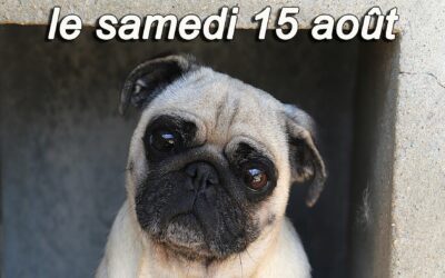 Infos 1 15 août