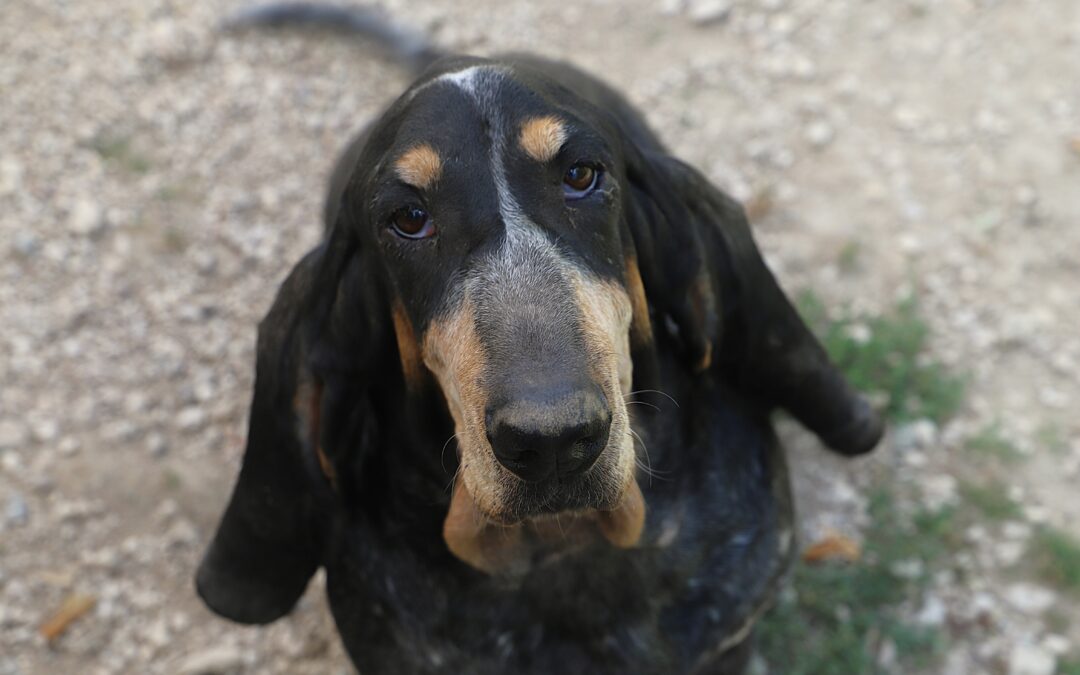 Transfert d&rsquo;association le 9 septembre 2026