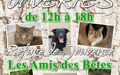 Infos 4 PO 3 et 4 octobre 2026